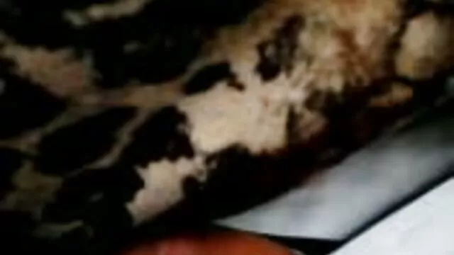 Porno gratuit sans inscription  Salope enlève ses chaussures et vidéo porno à regarder gratuitement mange des talons maigres